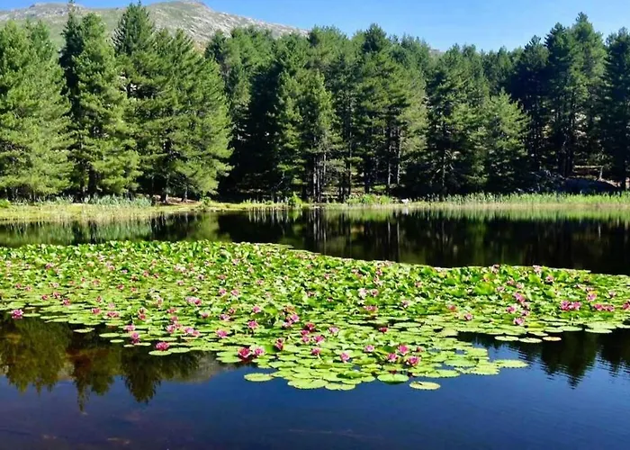 Villa Mare E Monti *